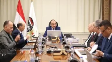 وزير قطاع الأعمال يكشف خطة مواجهة آلية حدود الكربون لإنقاذ الصادرات المصرية 1